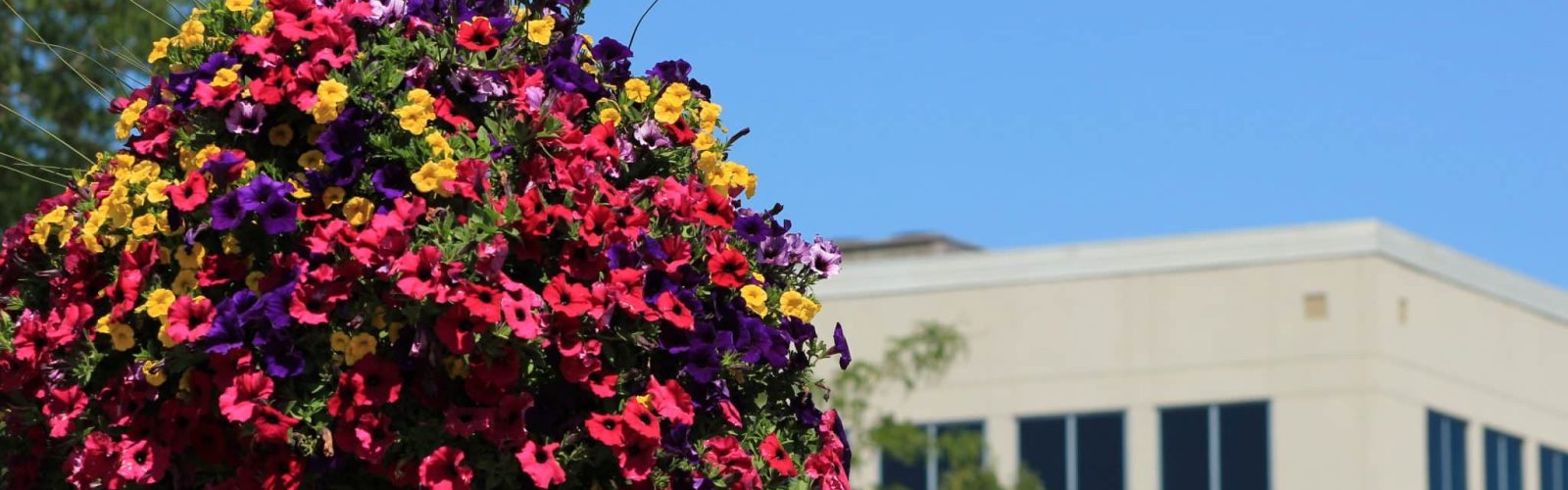 Outdoor Fun in Kenosha Outdoor Fun in Kenosha, Kenosha fun, fun outdoors kenosha