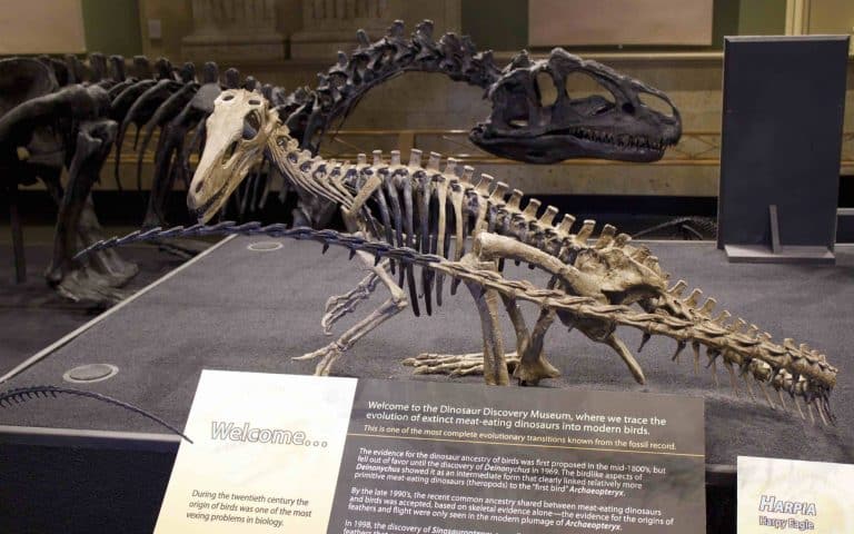 Tourist Attractions in Kenosha tourist attractions in Kenosha, tourist attractions near Kenosha, tourist town Kenosha