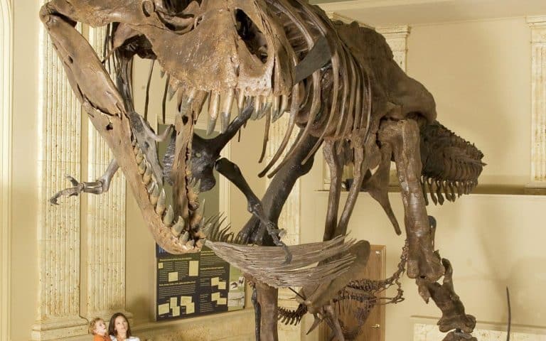 Attractions in Kenosha, favorite Attractions in Kenosha, finest Attractions in Kenosha, cheap Attractions in Kenosha