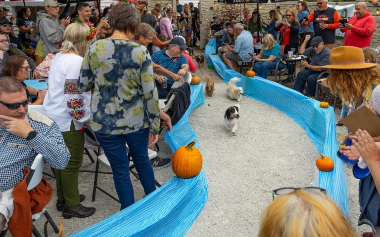 best things to do in Kenosha WI, downtown Kenosha attractions, Kenosha lakefront activities